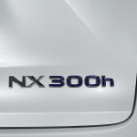 Lexus NX 300h Detalles