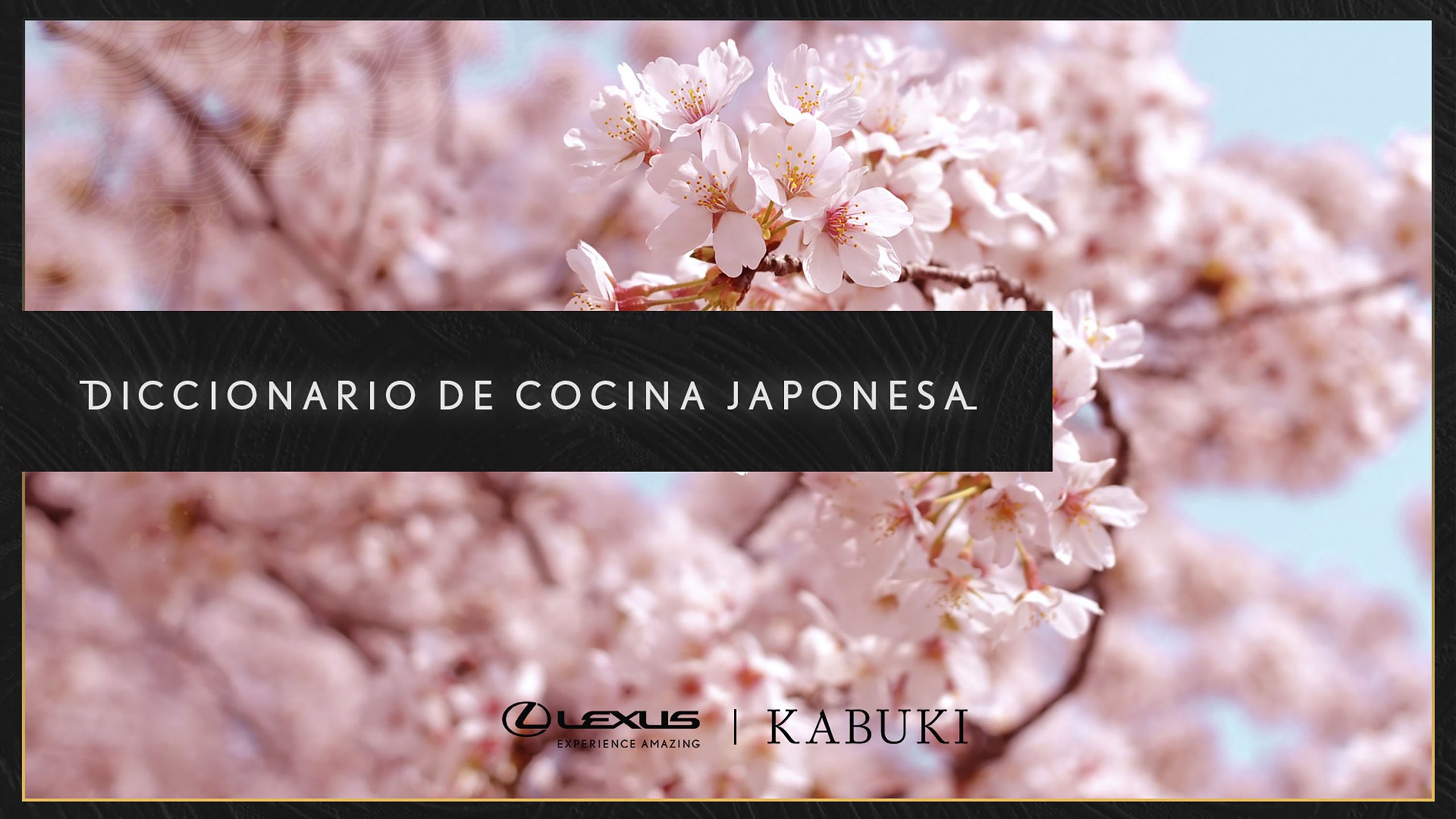 Lexus y Kabuki Crean el “Diccionario de Cocina Japonesa”